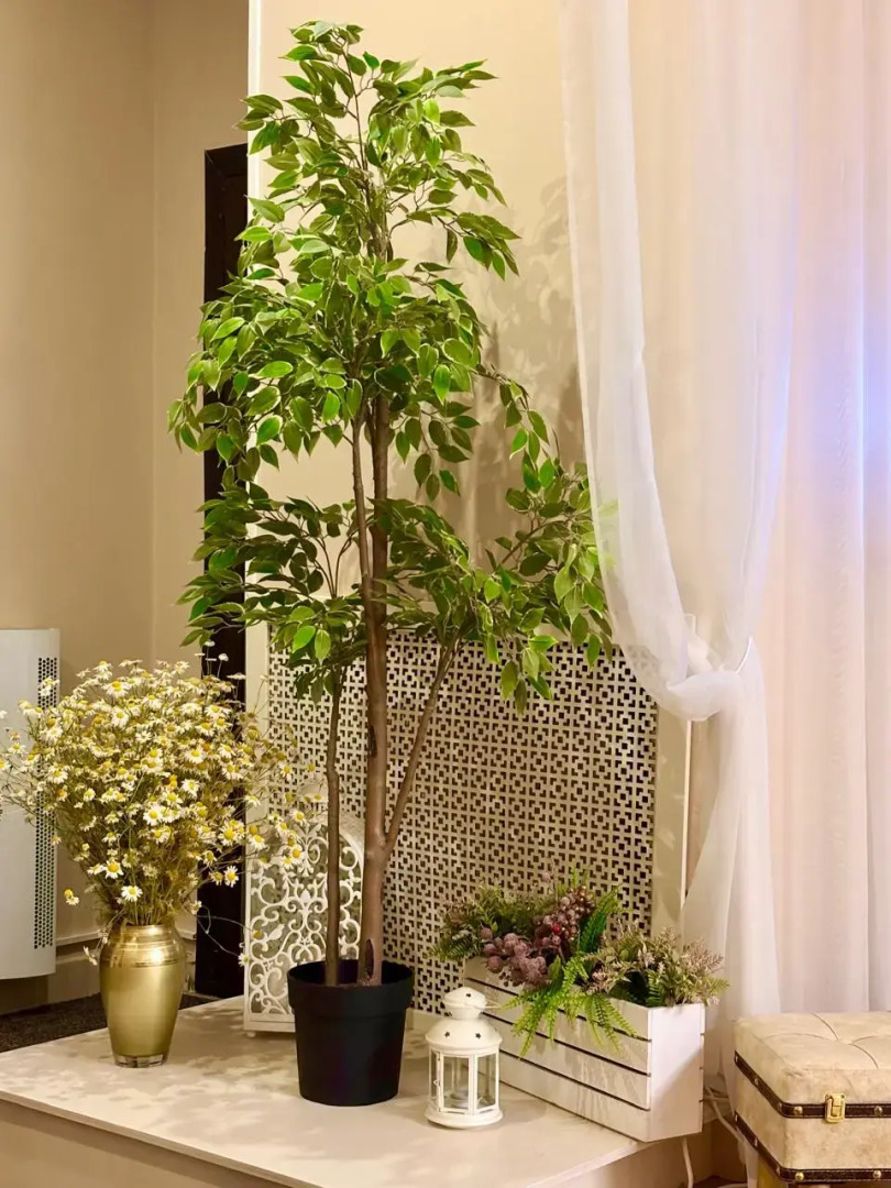 Отель Бастон (корпус № 2)