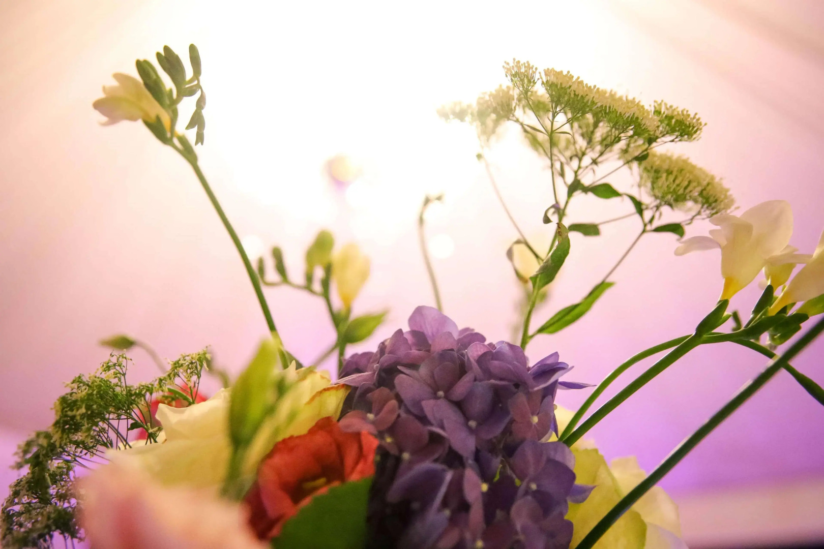 Radisson Blu Hotel Cairo Heliopolis