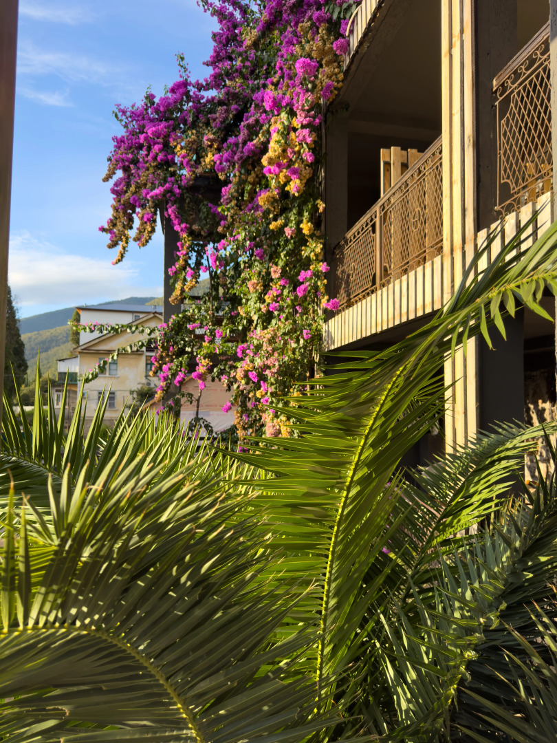 Отель Аимара