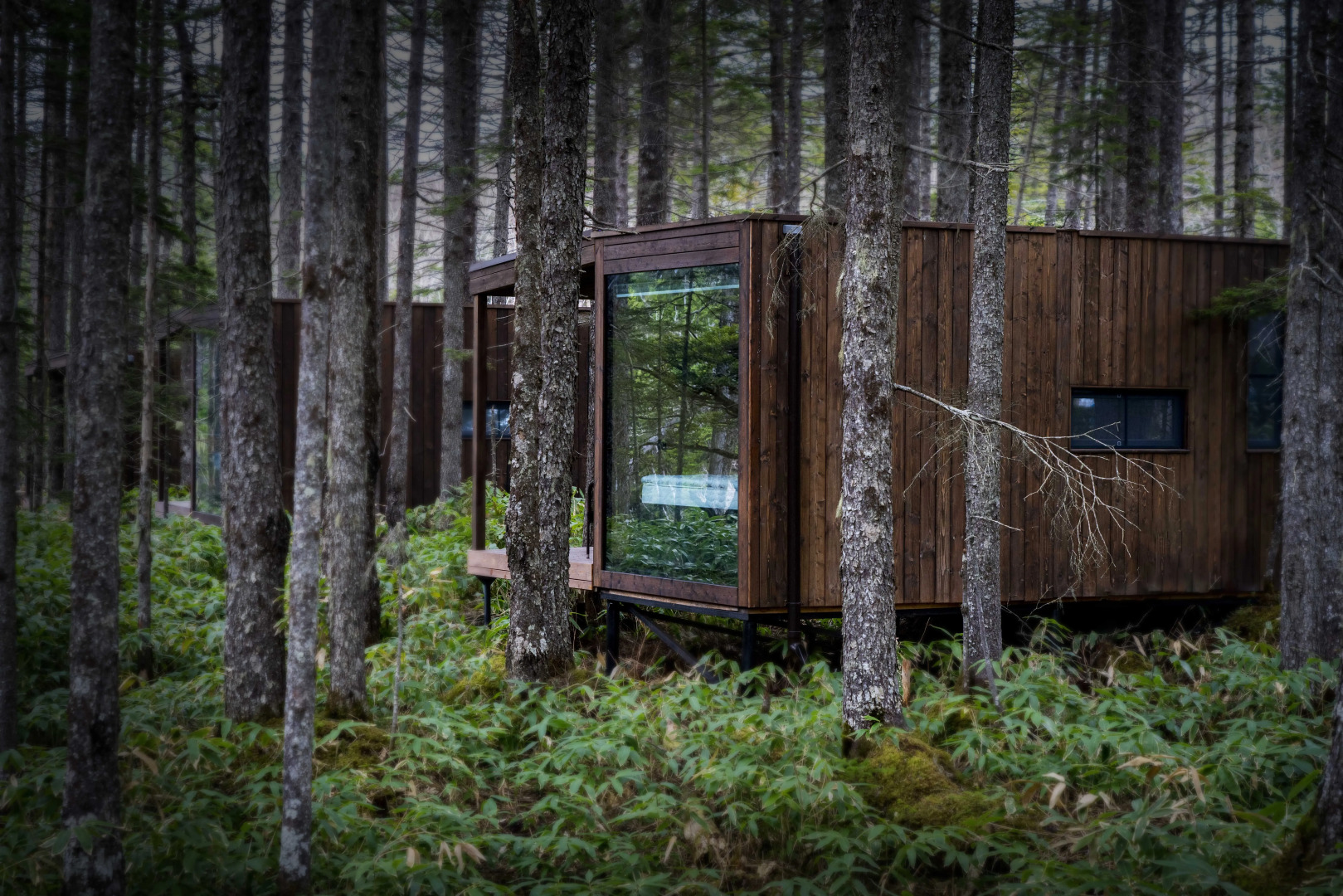 База отдыха Кунашир Резорт и СПА