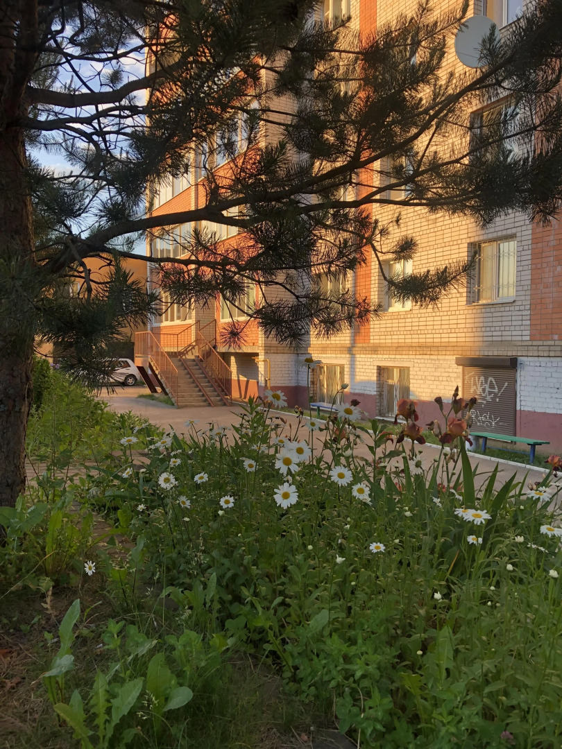 Квартира Уютно Как Дома