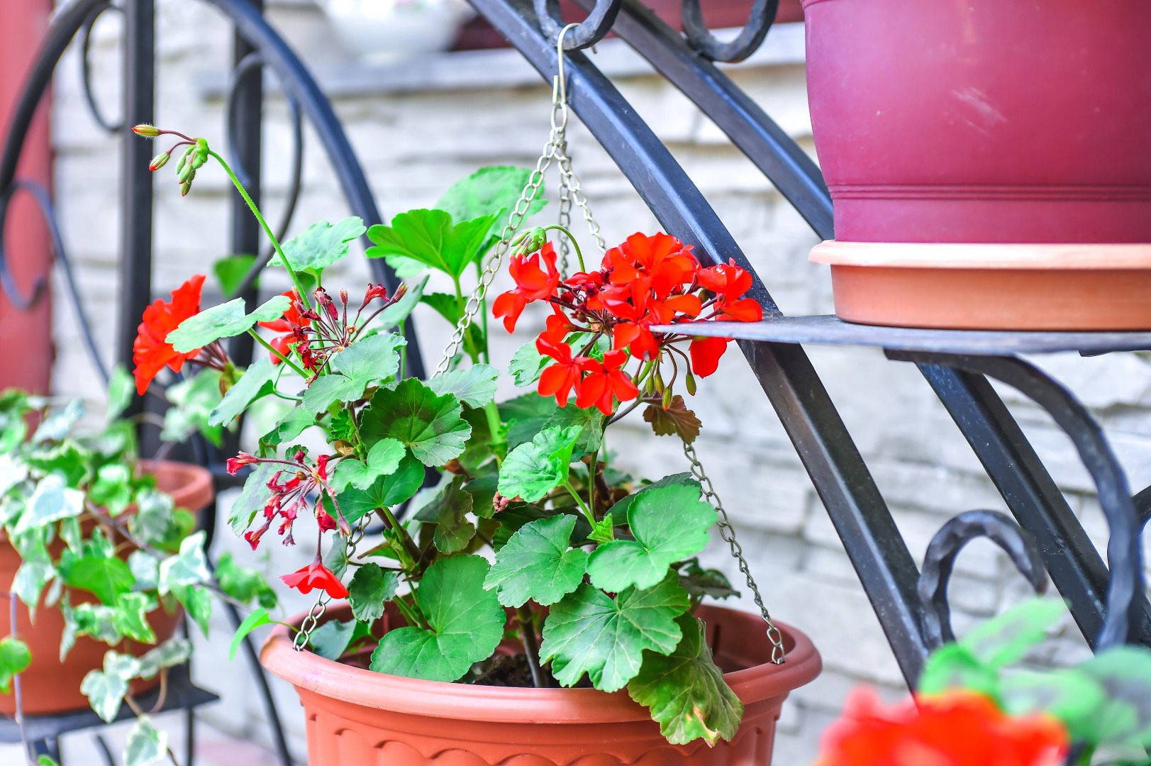 Гостевой дом София Грузия Кутаиси ул, Зугдидская 17