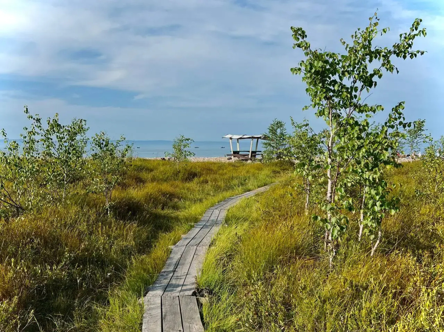 Частный дом ХВОЯ в окружении кедрового леса