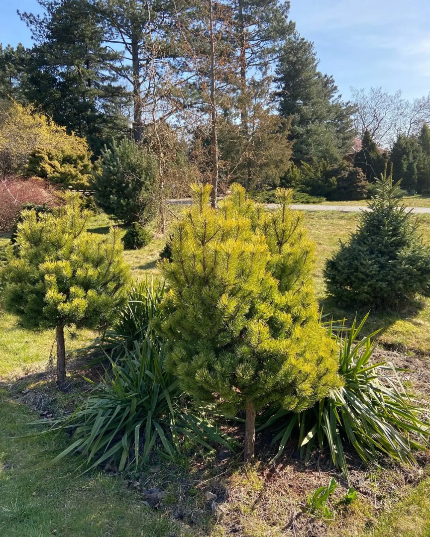 Двухкомнатные апартаменты Prime Ботанический сад