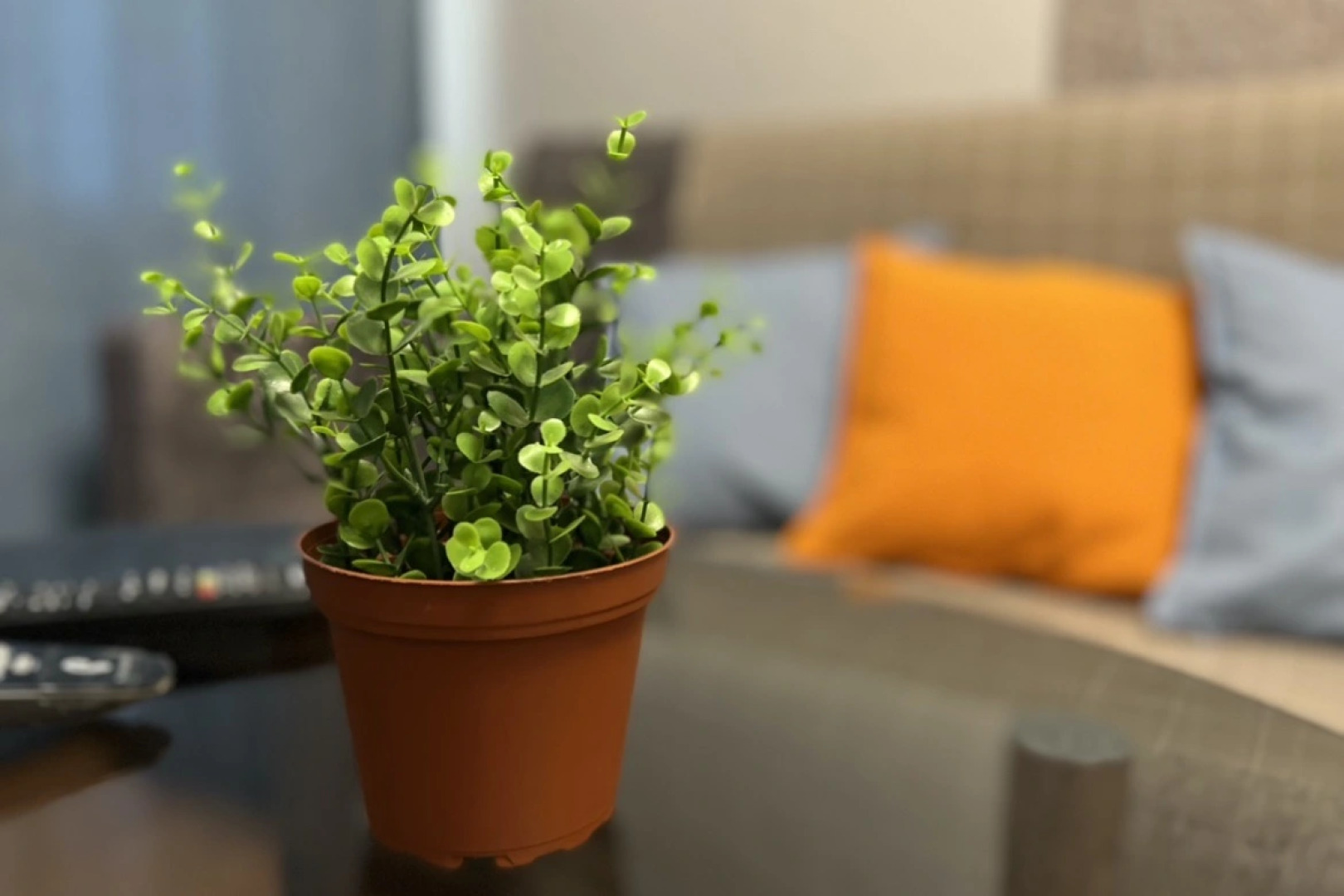 Апартаменты Красный Проспект 94/1