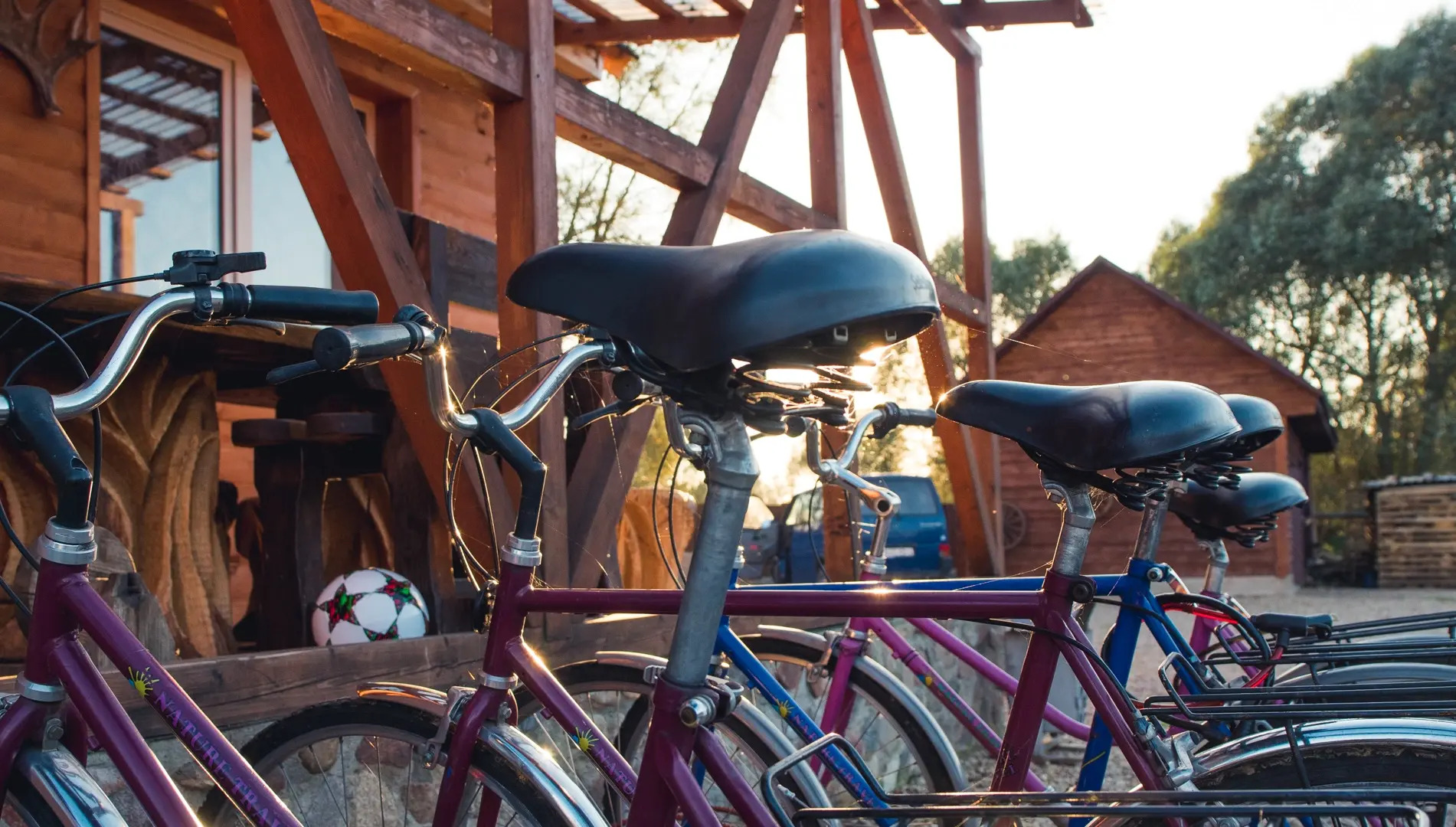 Гостевой дом Мечта в Беловежской Пуще