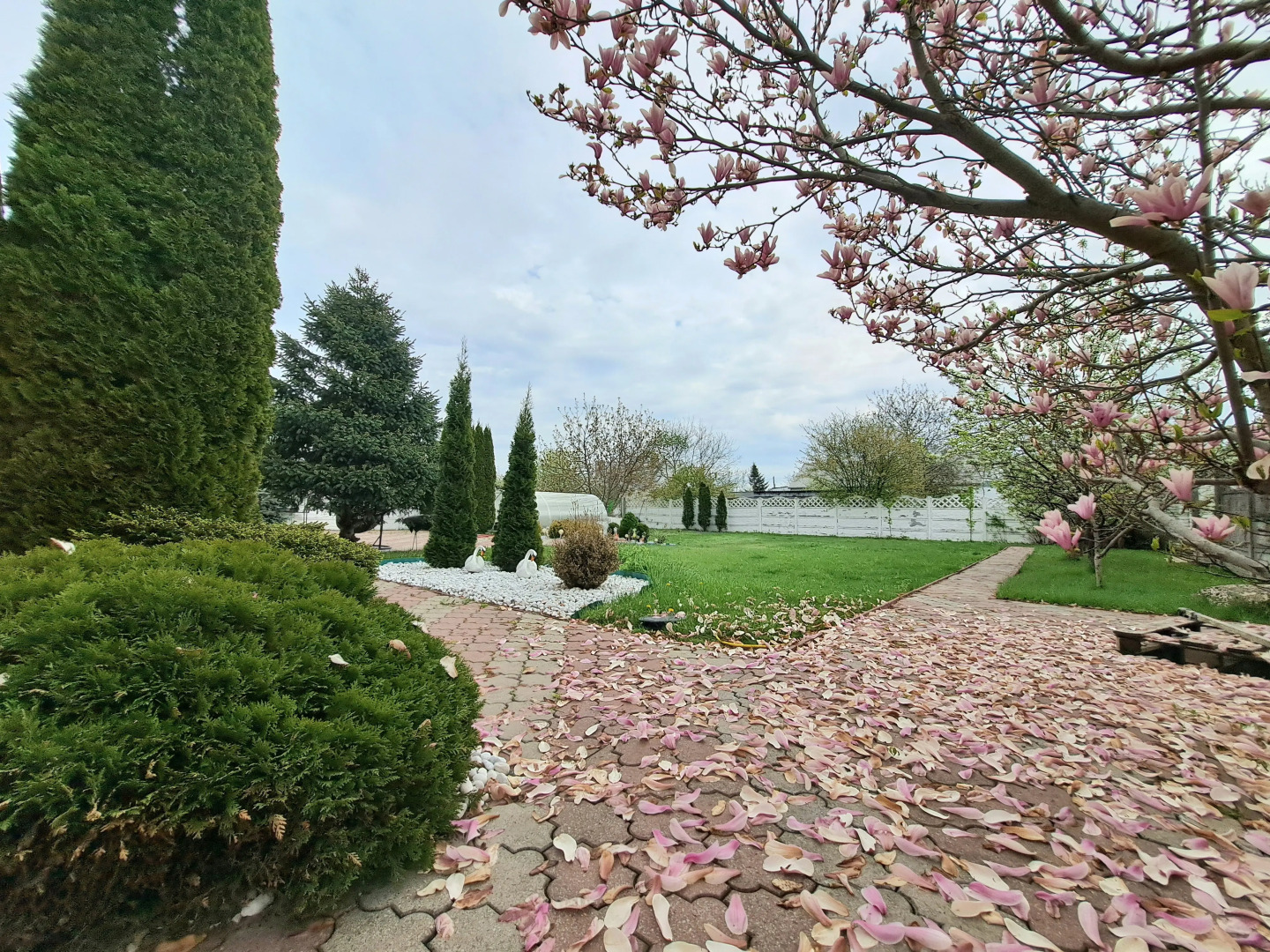 Вилла Магнолия