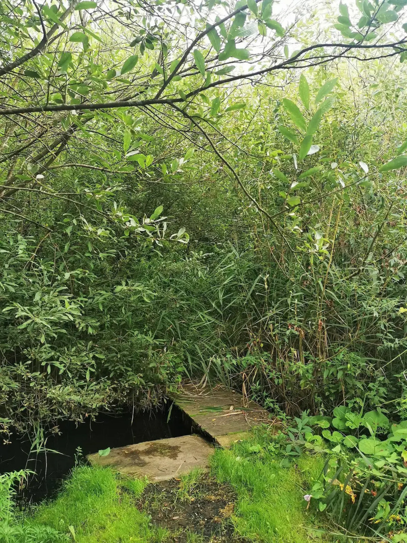 Квартира с домашним комфортом  на сутки, недели, месяцы, часы и минутки - Смолевичи - Минск,  город-спутник