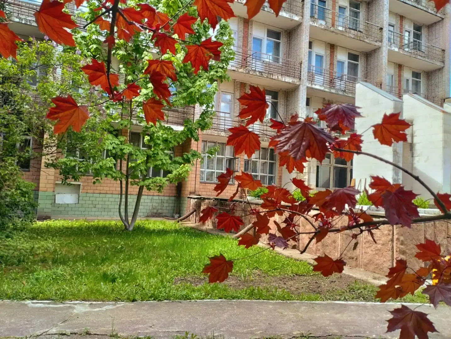 Санаторий-Профилакторий Лесной дворик ЖМЗ