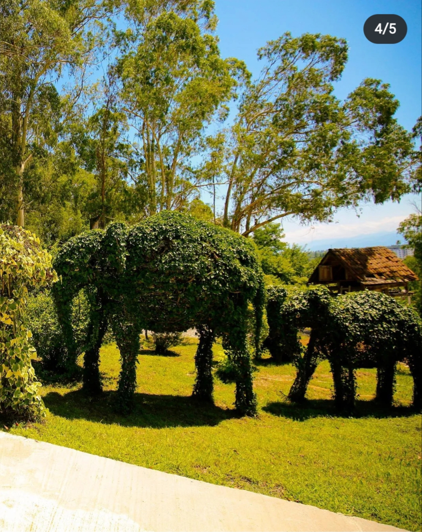 Отель Вита Гардения Цхалтубо