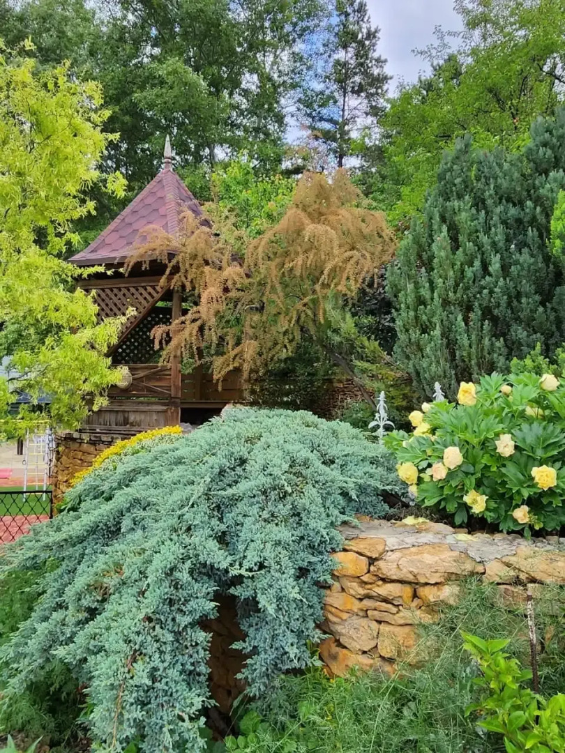 Гостевой дом Дом Архитектора