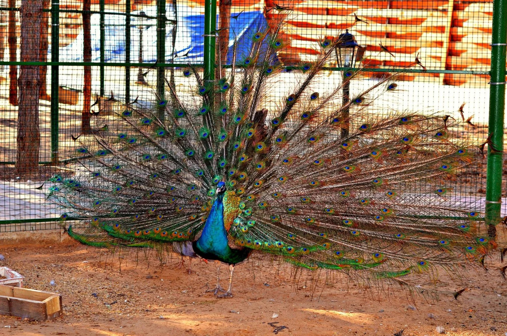 База Отдыха Усадьба