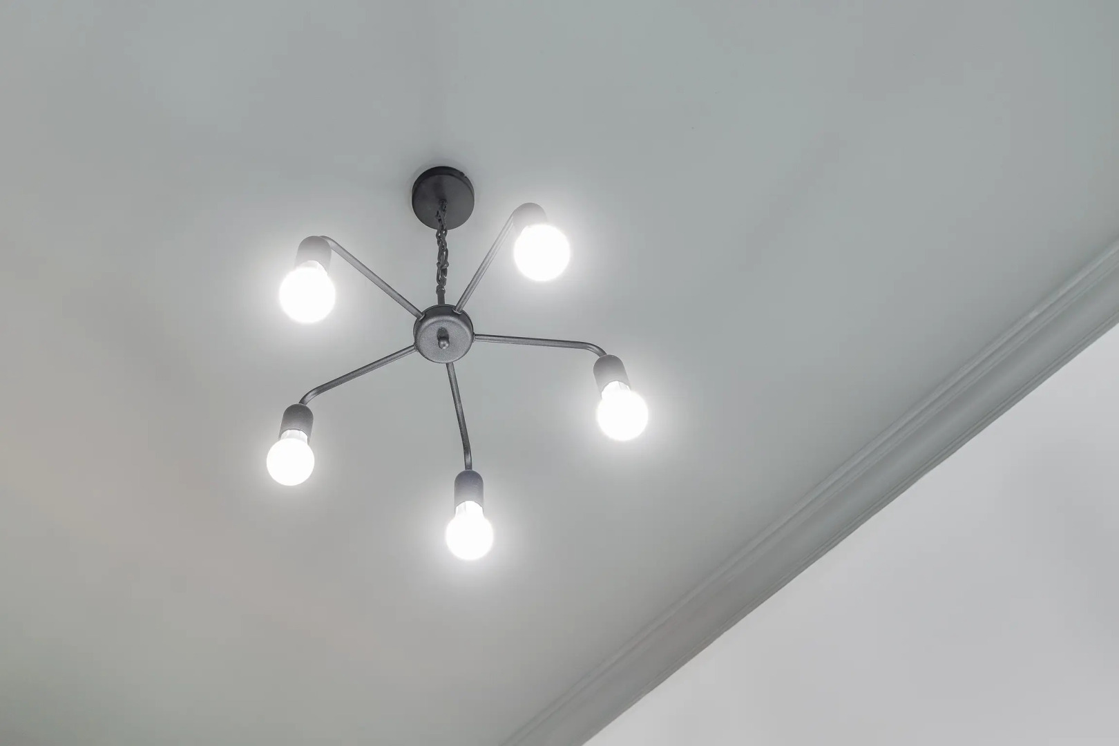 Апартаменты Sokroma Черный слон