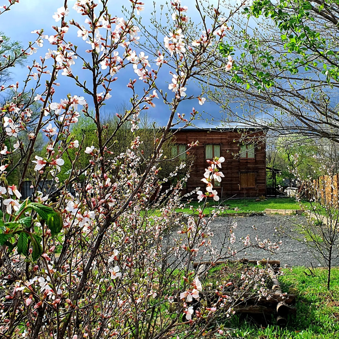 Gostevoy Dom Maori-Lukyyanovka