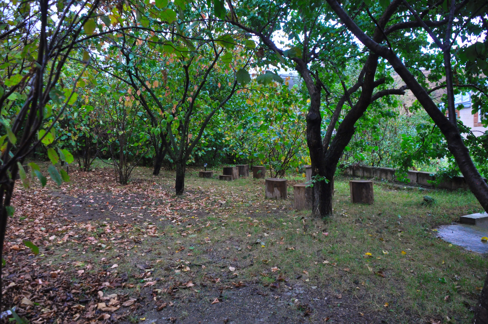 Гостевой дом Kamar