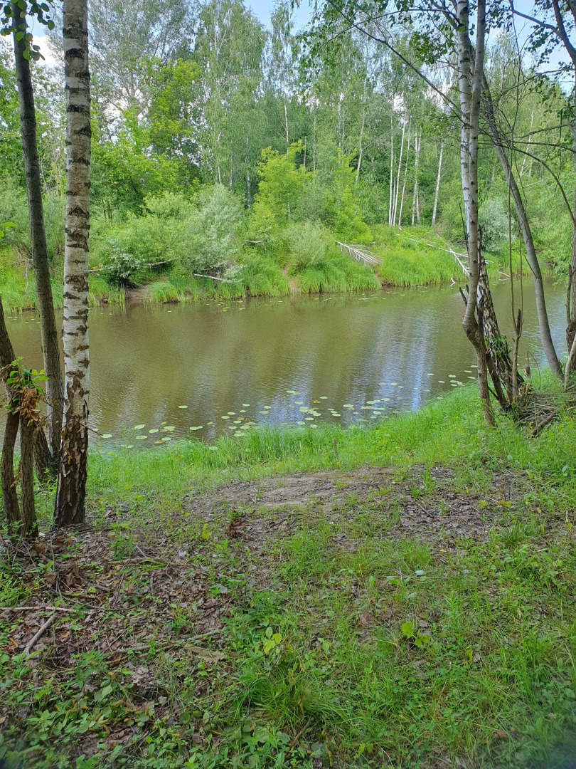 База отдыха Зеленый луг