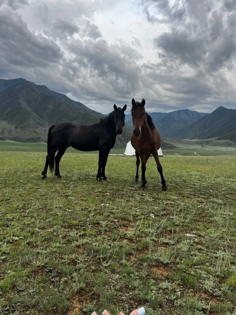 Глэмпинг Brosko Terra