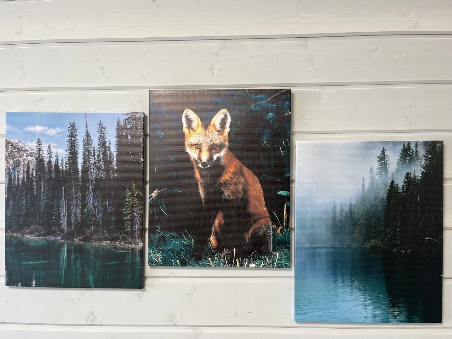 Квартира Лиса в Городе