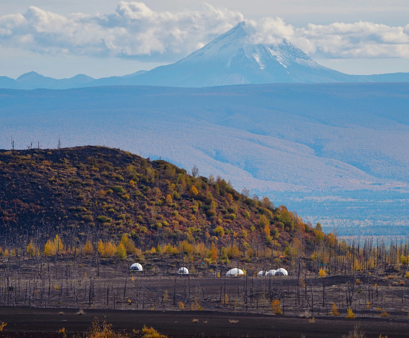 Глэмпинг TolbachikCamp