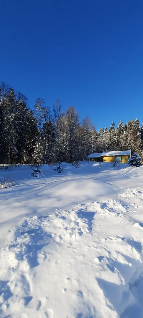 Гостевой дом с выходом в лес