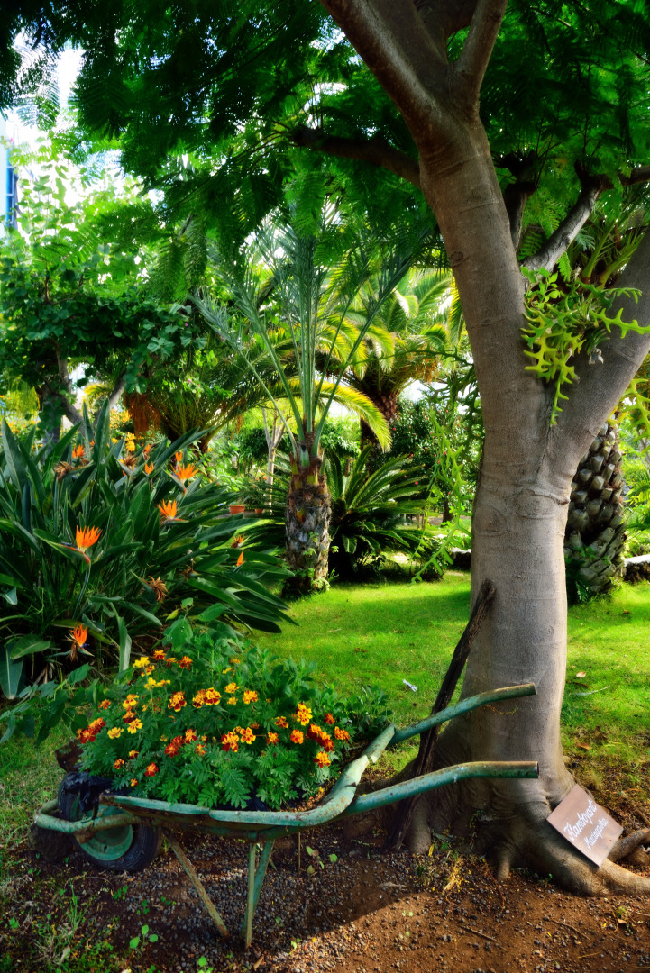 Adjovimar Apartments