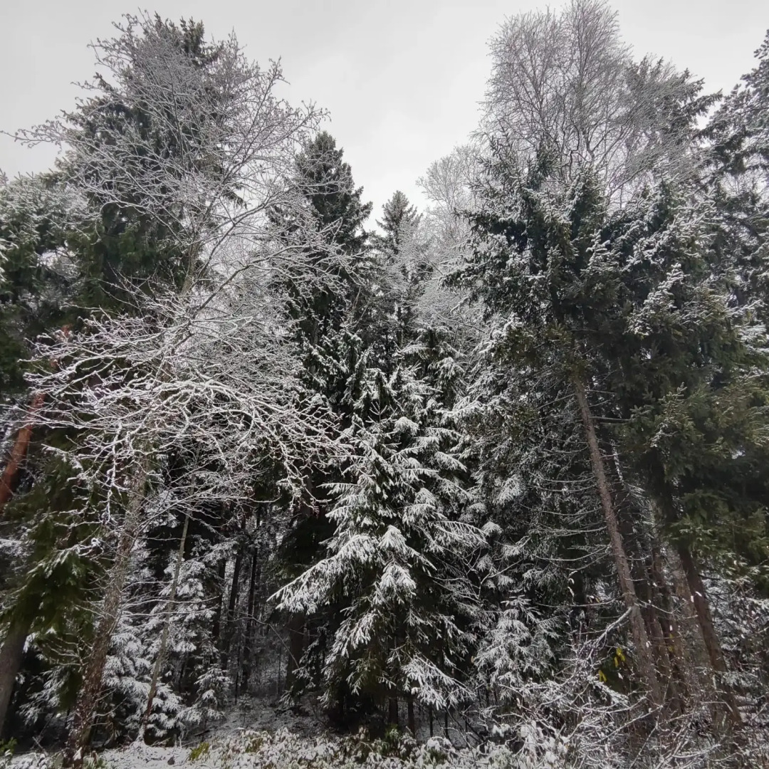 Частный дом Inkeriloft