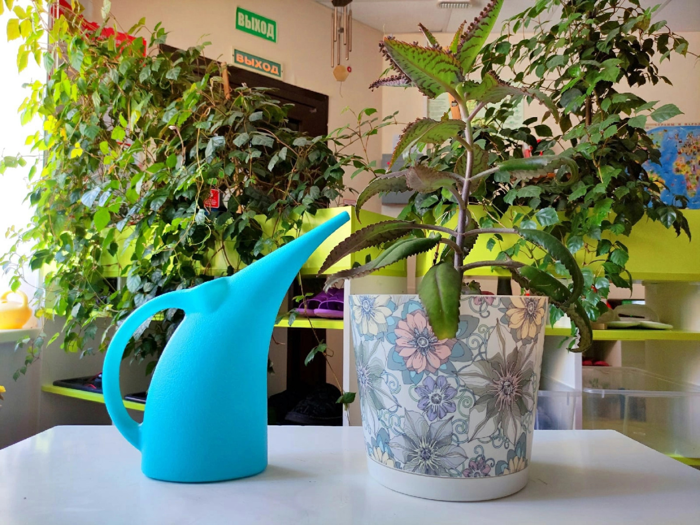 Хостел Лайк