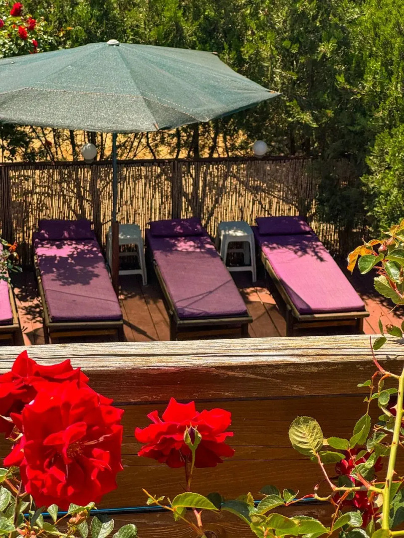 Bungalow Арт дача Панаехало