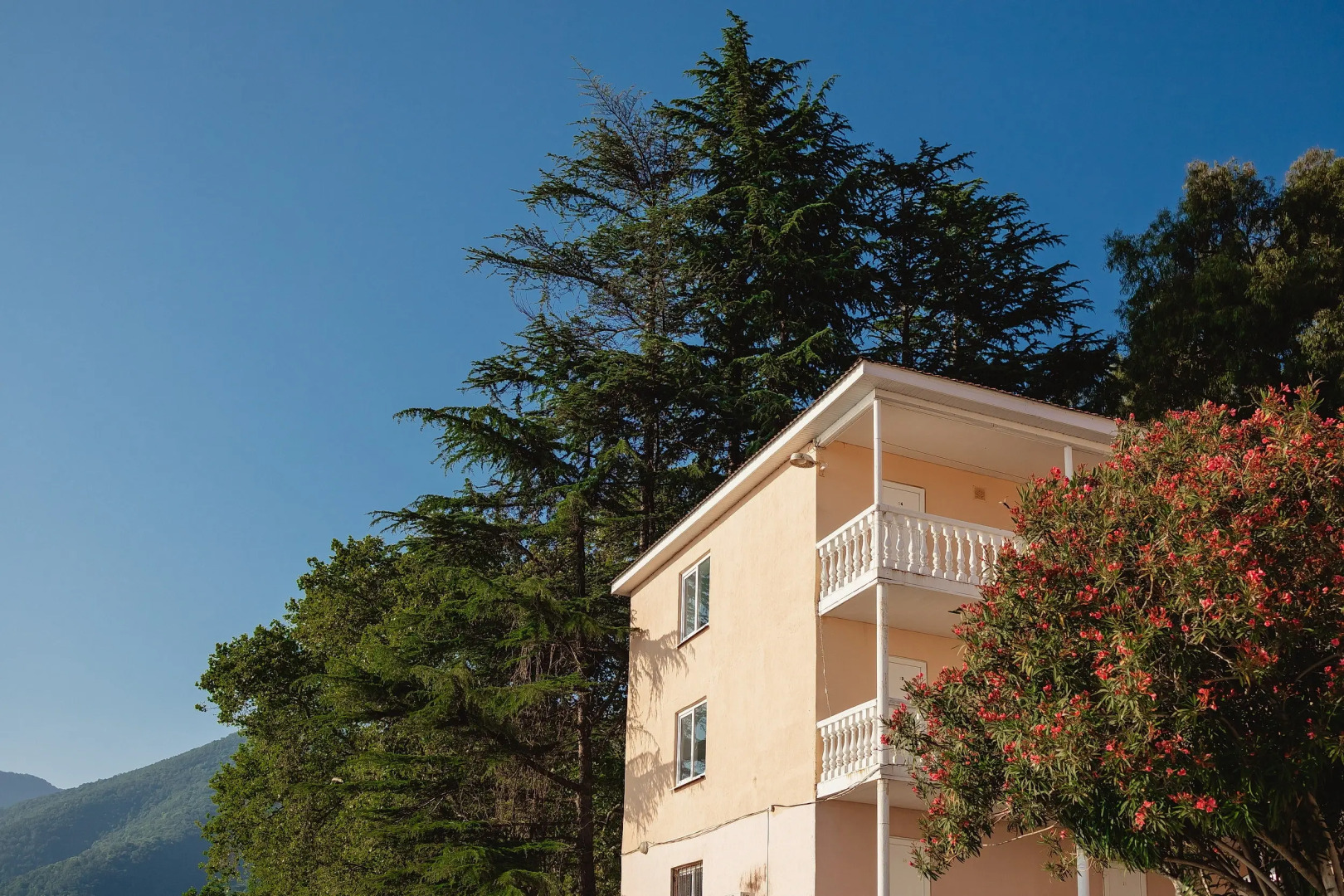 Отель Тарба