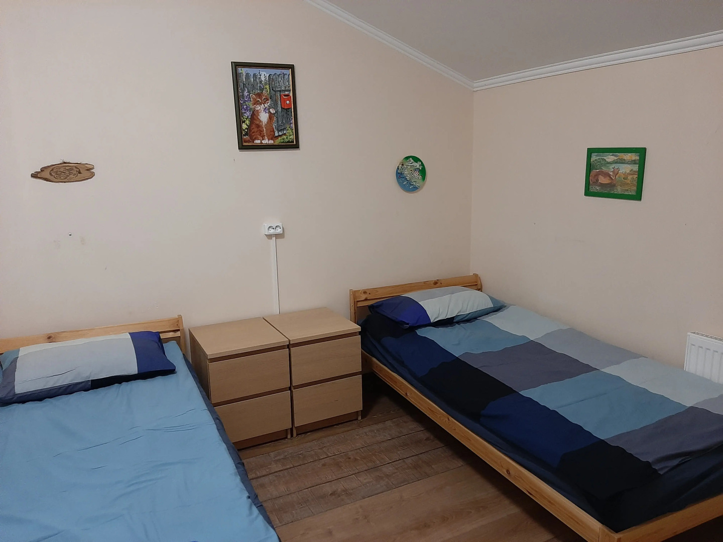 Частный дом Большая дача в Ушаках 1