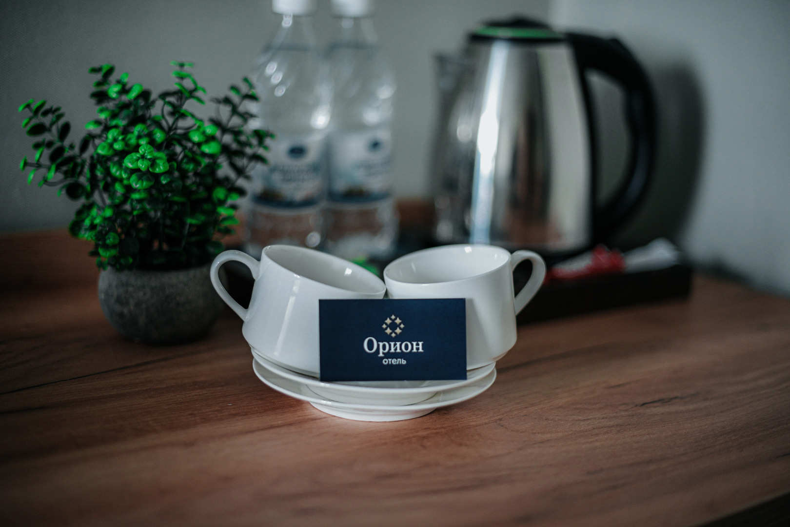 Отель Орион