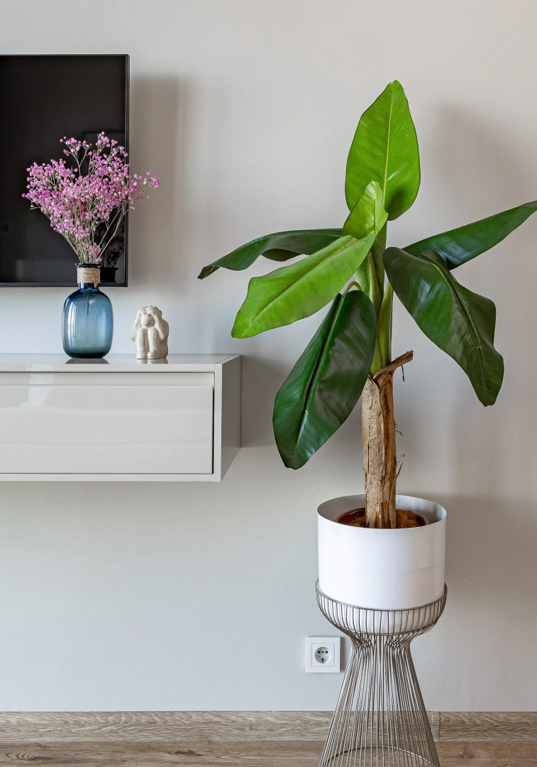 Апартаменты SkandiLOFT