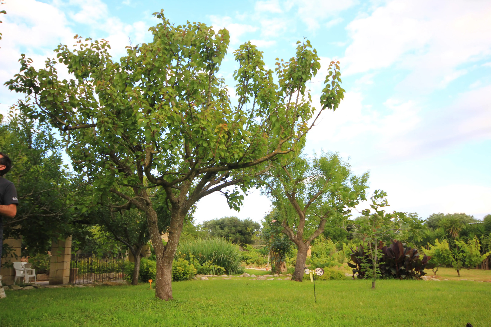 Гостевой дом Villa Diana