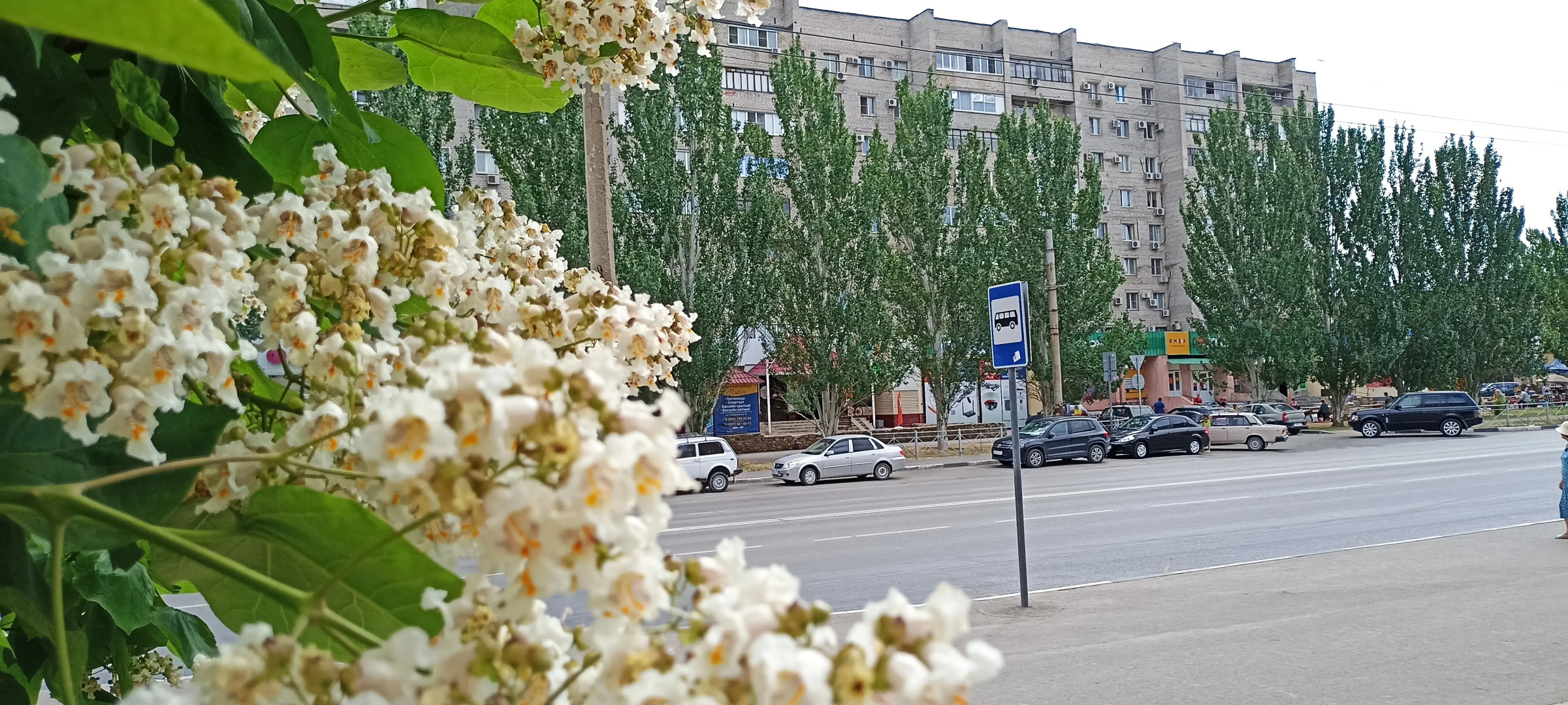 Апартаменты Уютные апартаменты 75