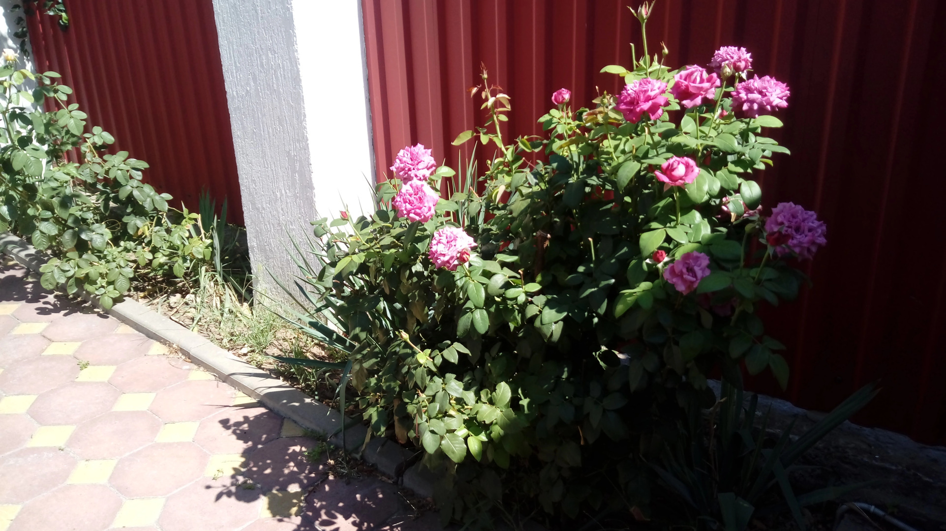 Гостевой дом на Стасова