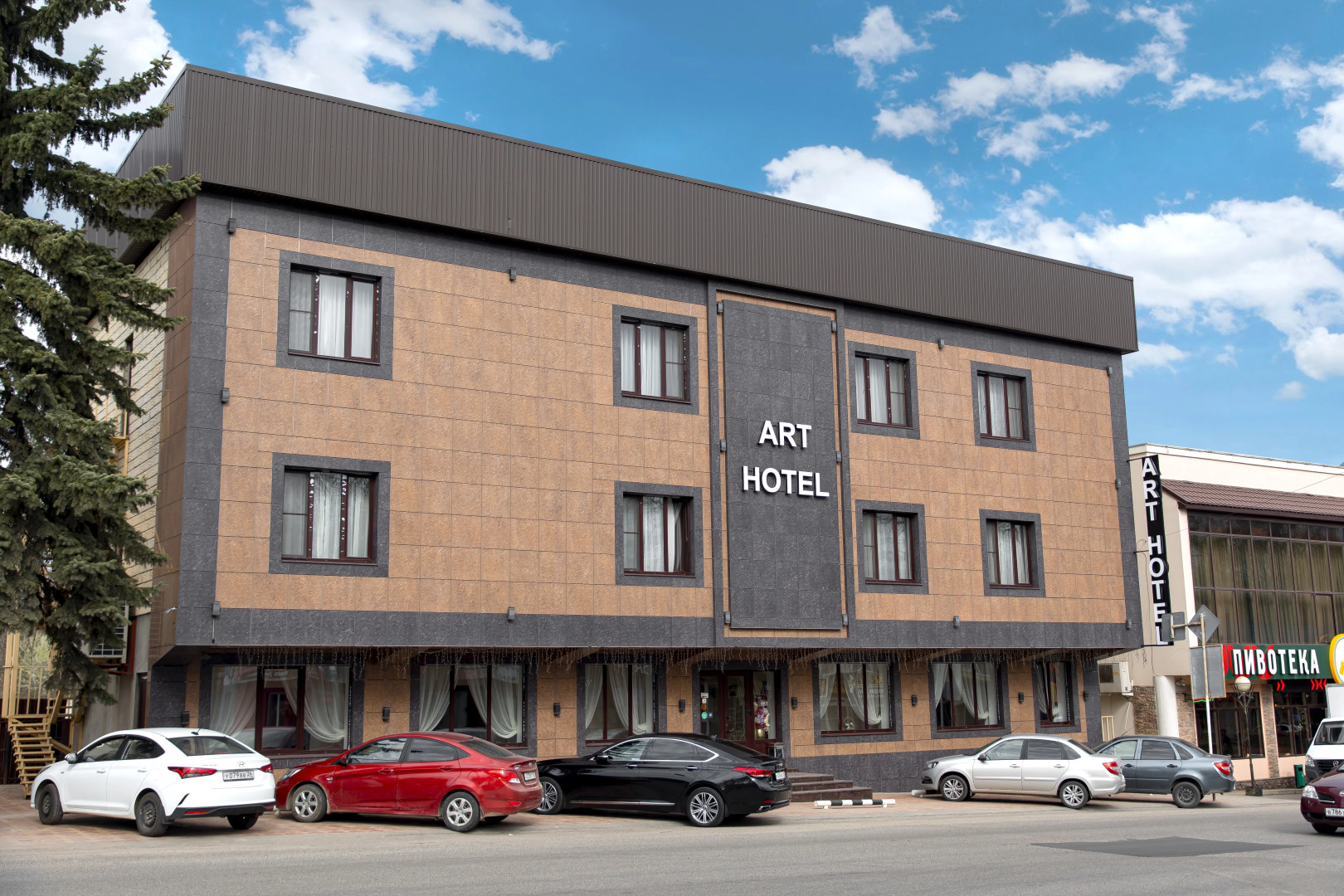 Отель Арт