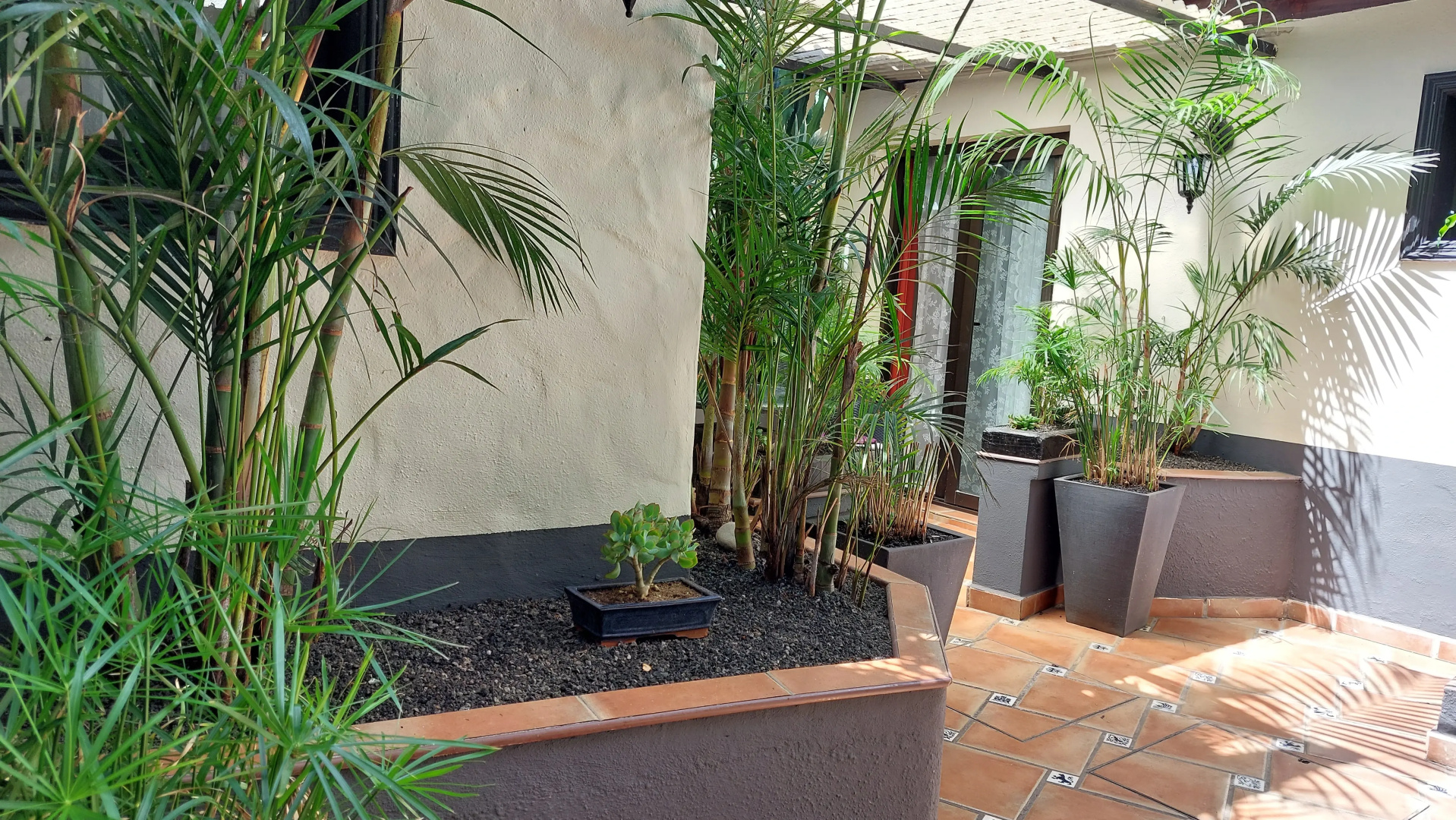 Апартаменты Apartamentos Monasterio de San Antonio Adults Only