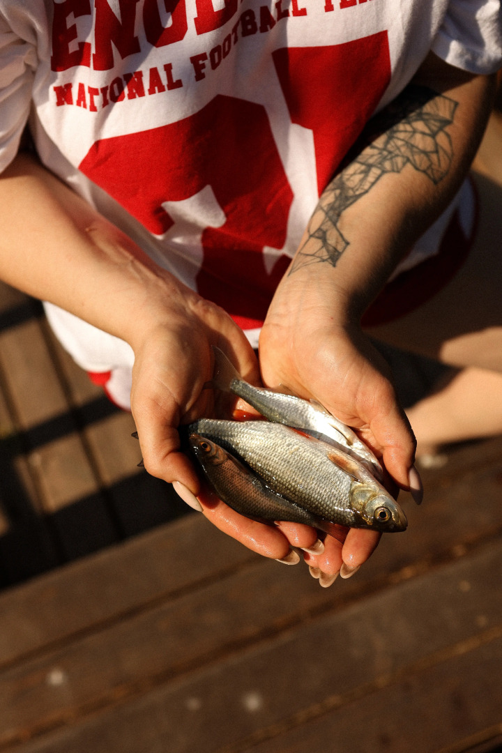 Частный дом Гостевой Дом с единорогом в Ферапонтово