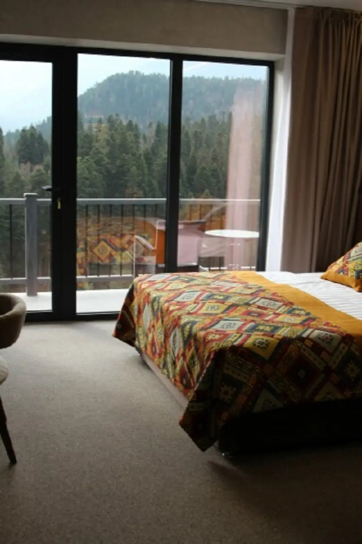 Отель Chalet FoRRest