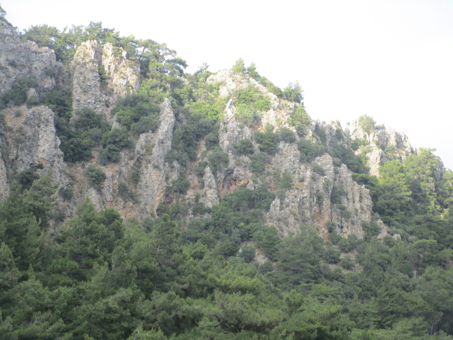 Отель Lavanta Hotel Turunc