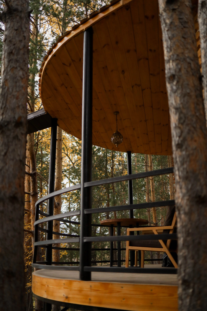 Отель Сорока