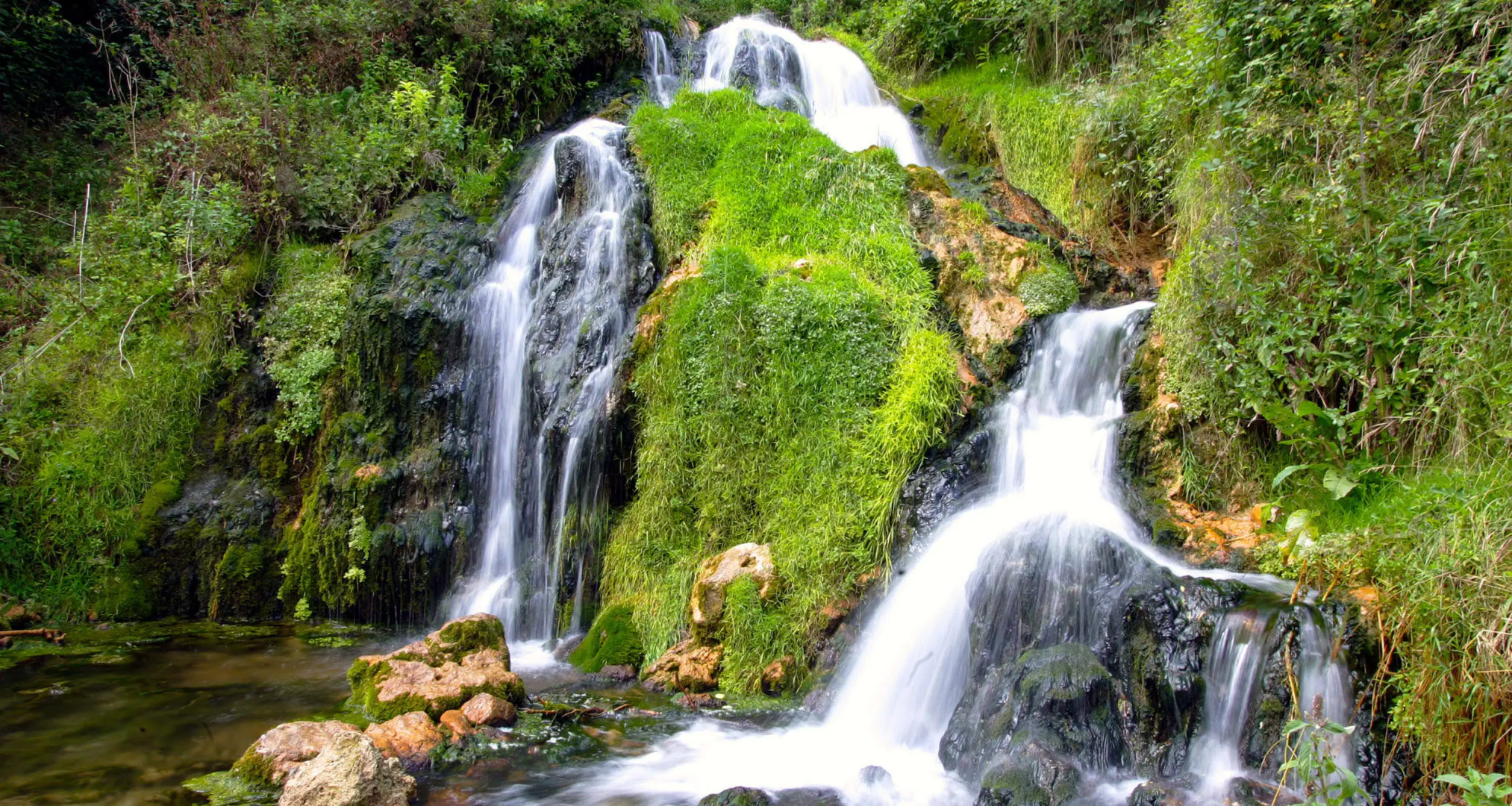 Апартаменты Egoiste