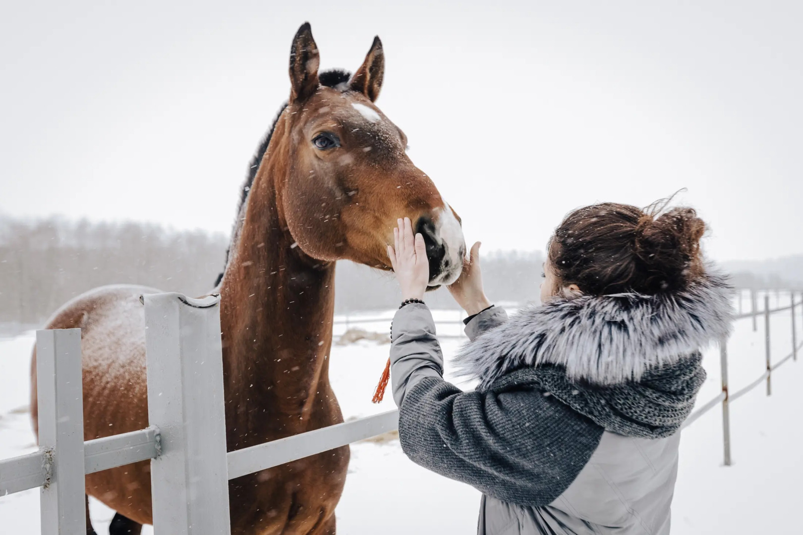База отдыха Агротуристический комплекс Эль Ранчо