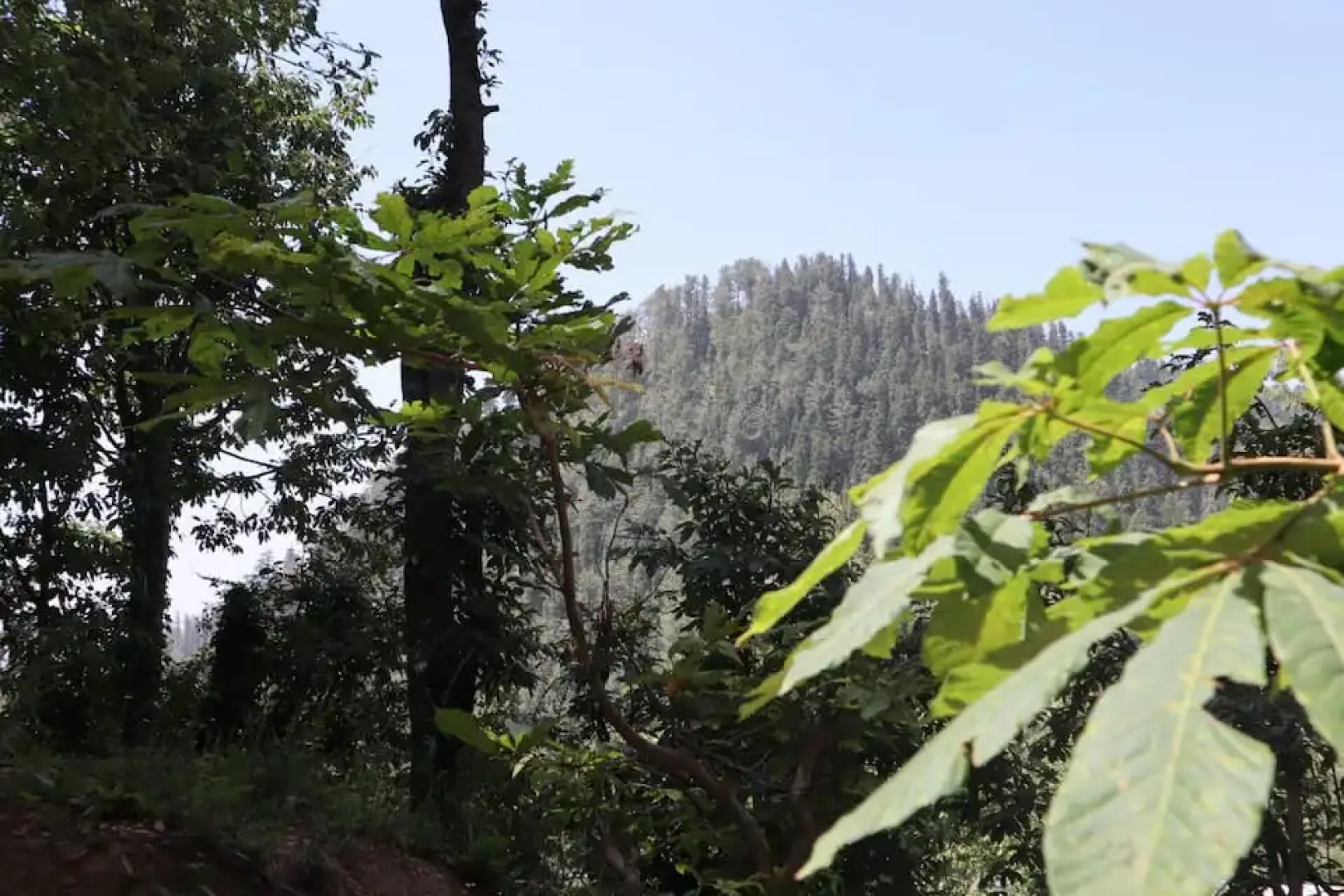 Вилла Camp on Beautiful Toddy Pond
