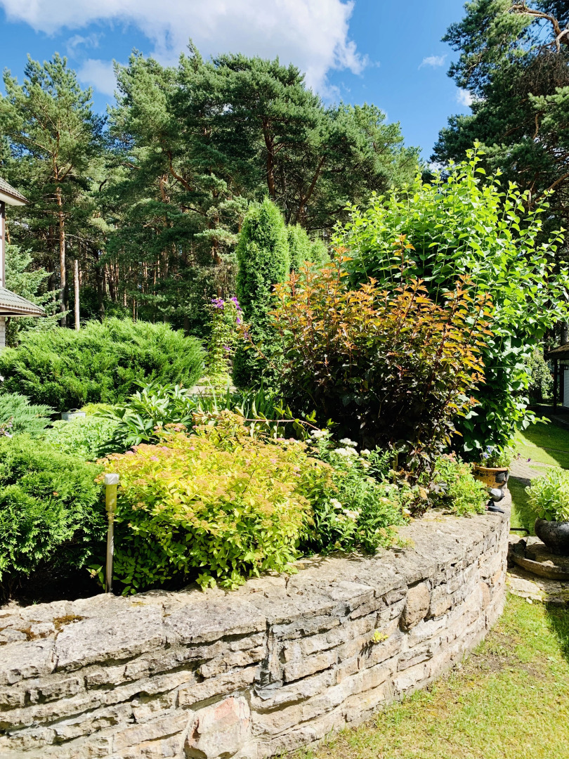 Гостевой дом Форест грин