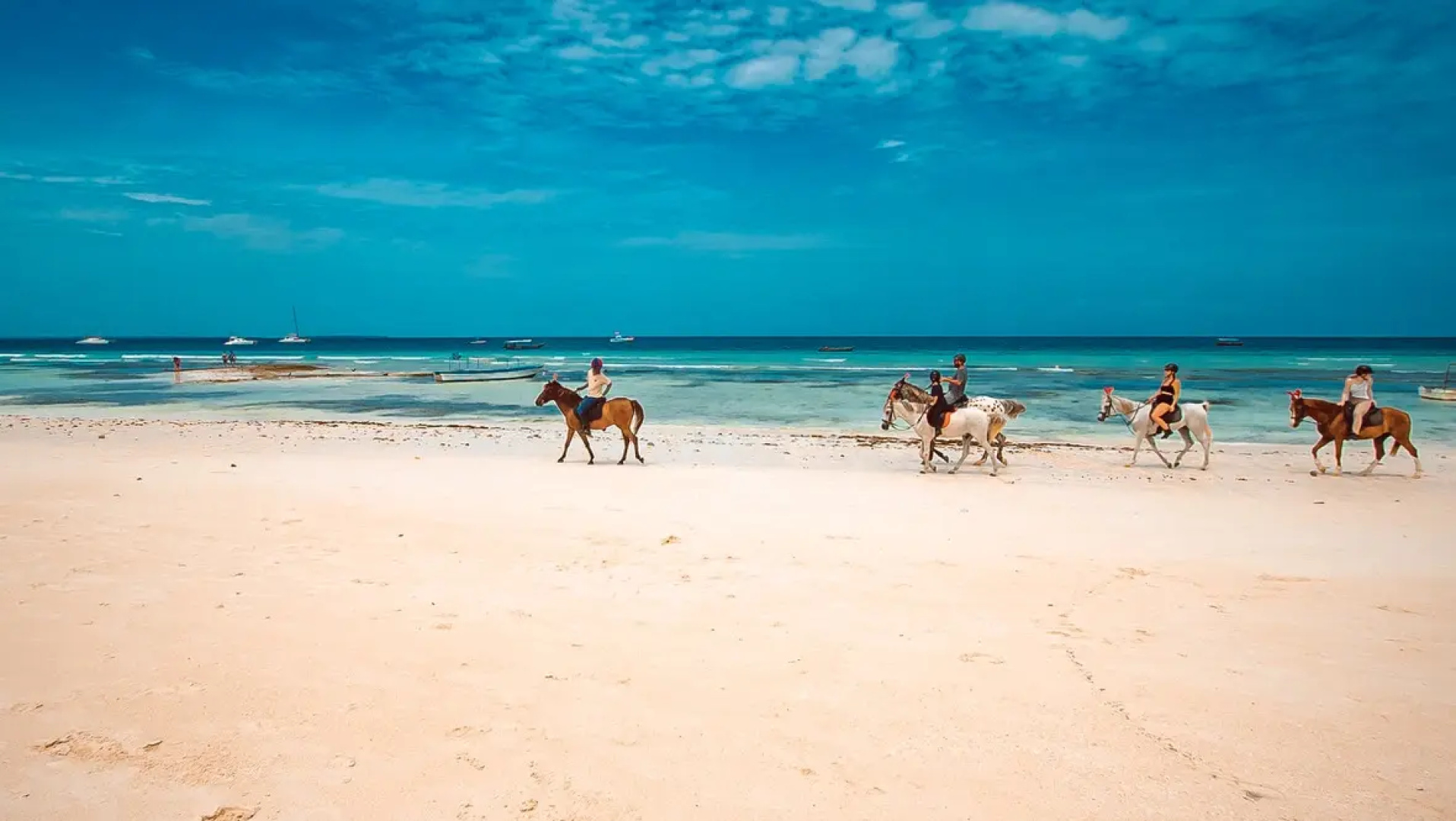 Отель Zenobia Beach Resort