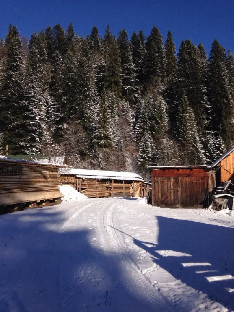 Гостевой Дом Bukovel Private Sadiba Arina