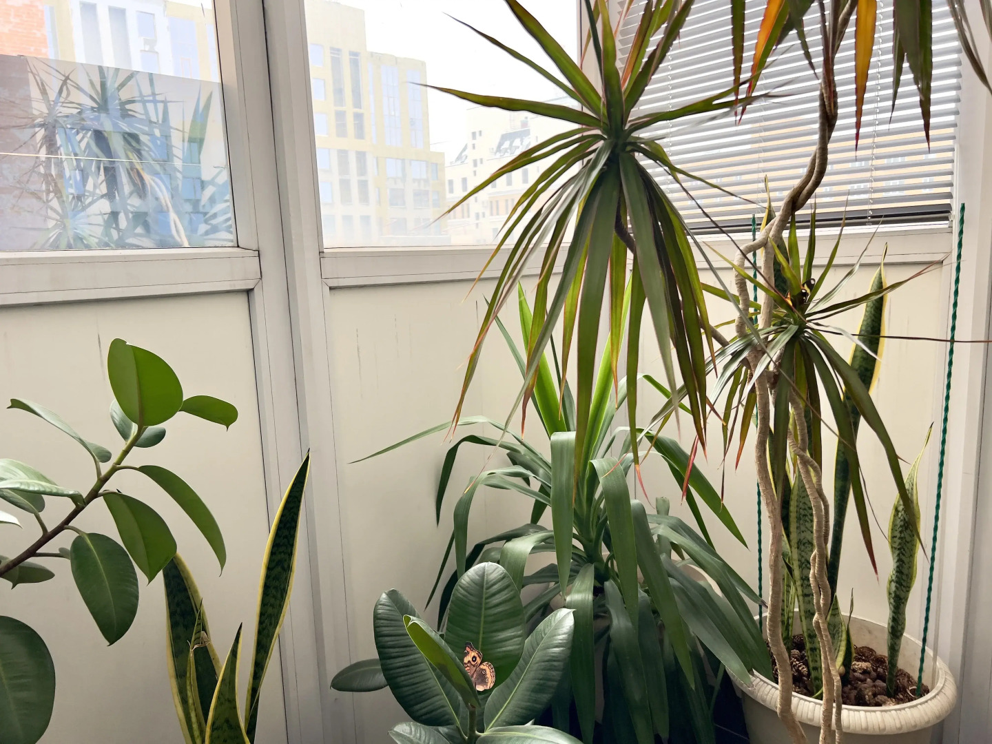 Апартаменты ВыДома в шаге от набережной с видом на Бульвар Дзержинско