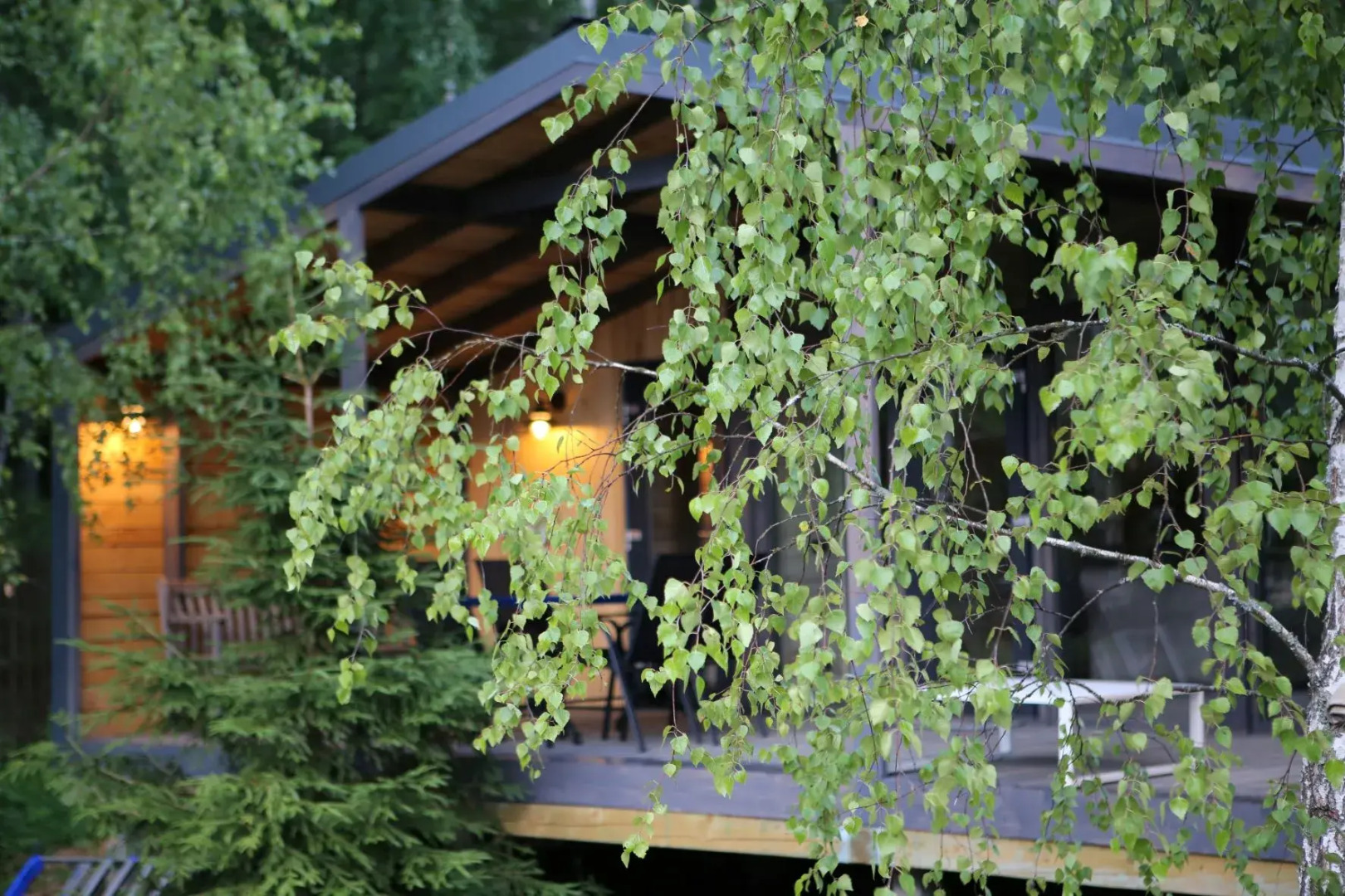 Частный дом Iris House