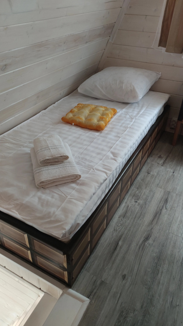 Частный дом Пряня